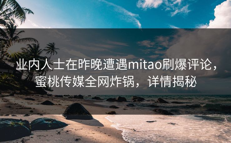 业内人士在昨晚遭遇mitao刷爆评论，蜜桃传媒全网炸锅，详情揭秘