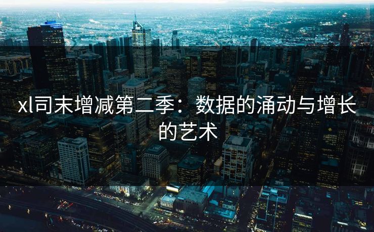 xl司末增减第二季：数据的涌动与增长的艺术