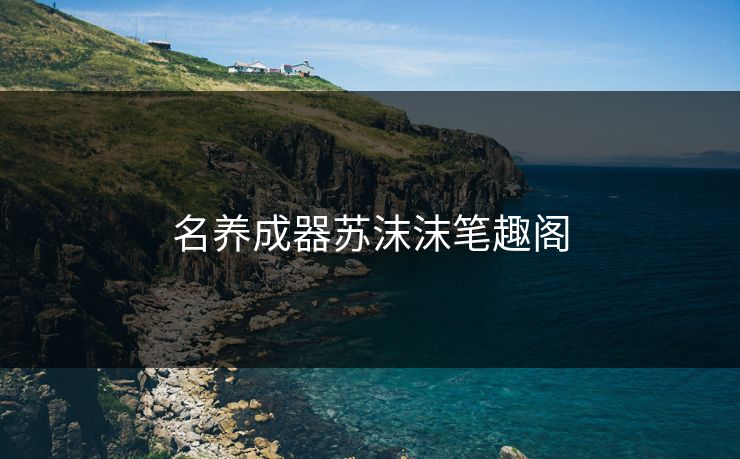 名养成器苏沫沫笔趣阁