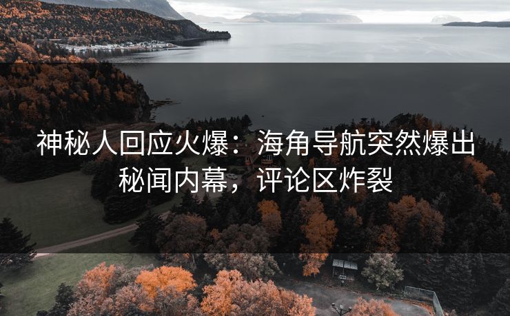 神秘人回应火爆：海角导航突然爆出秘闻内幕，评论区炸裂