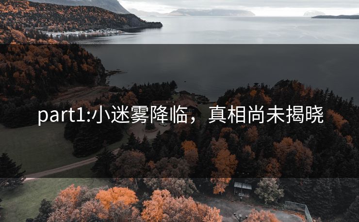 part1:小迷雾降临，真相尚未揭晓