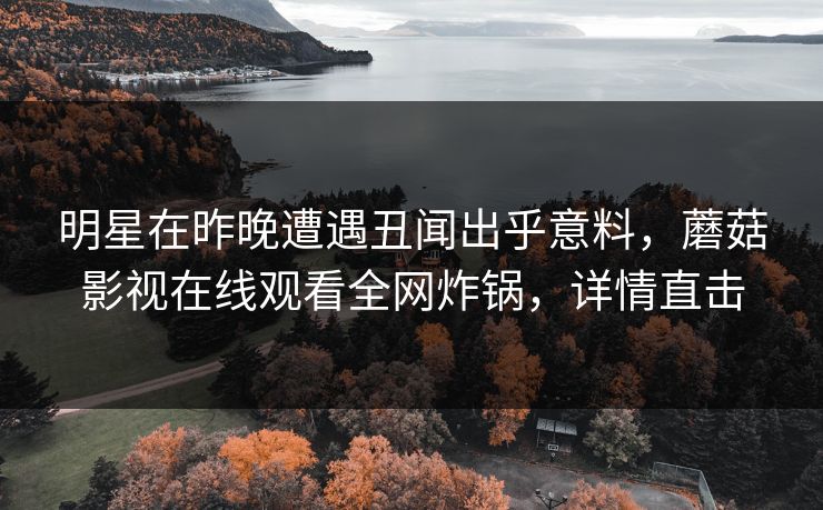 明星在昨晚遭遇丑闻出乎意料，蘑菇影视在线观看全网炸锅，详情直击